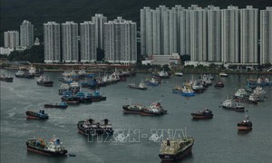 Hong Kong phát cảnh báo cao nhất khi bão Wipha tiến gần