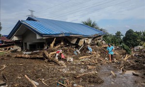 Bão Wipha ảnh hưởng đến hàng trăm nghìn người ở Philippines