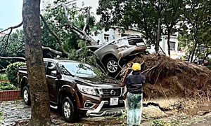 Hà Nội thành lập Ban Chỉ huy Phòng thủ dân sự cấp xã trước bão số 3