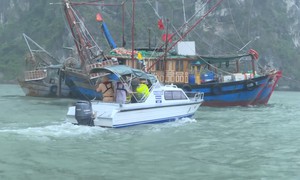 Bão số 3 cách Quảng Ninh 190km, hàng nghìn cán bộ, chiến sĩ tham gia ứng trực chống bão