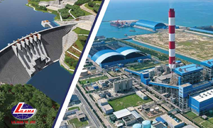 Lilama 10 bị xử phạt