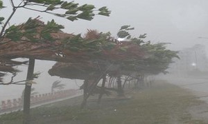 Bão số 3 vừa tăng lên 1 cấp và còn mạnh thêm, mưa lớn nhất tập trung vào đêm nay và sáng mai