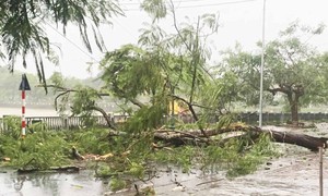 Chuyên gia cảnh báo mưa dông dài ngày do hoàn lưu bão số 3