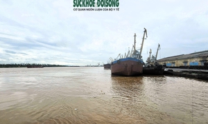 Nước vùng cửa sông ven biển dâng cao vượt mức lịch sử, hàng loạt điểm có nguy cơ sạt lở
