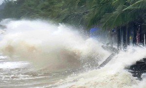 Biển Đông đón bão số 4 có tên là Cỏ may