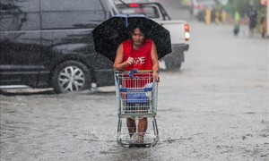 Philippines đóng cửa trường học, dừng hàng loạt chuyến bay khi bão Cỏ may áp sát
