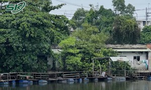 Nhân chứng tiết lộ 'sốc' về đôi nam nữ tử vong trong căn phòng bị cháy, ám ảnh hiện trường