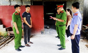 Chặn đứng hai tấn lợn nhiễm dịch tả châu Phi sắp ra chợ