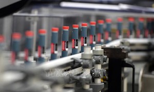 Đột phá phương pháp điều trị tiểu đường không cần tiêm insulin