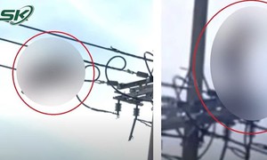 Người phụ nữ bò lên dây điện làm hành động 'lạ' khiến người dân khiếp vía đã tử vong