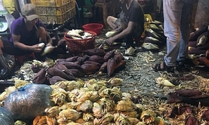Làm gì để không ăn phải bắp chuối bào bị 'tắm' hóa chất?