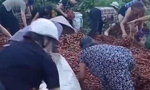 Vụ 'hôi' 4 tấn vải trên xe tải bị lật ở Hà Nội: Nhiều người hỏi thăm, chuyển tiền cho tài xế