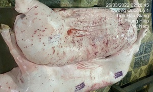 Vụ Công ty C.P Việt Nam bị tố: Làm rõ 'động cơ phát tán hình ảnh'