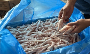 Rủi ro sức khỏe nghiêm trọng từ chân gà đông lạnh nhập lậu