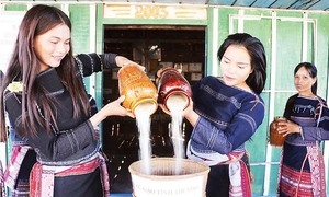 Sáng kiến 'hũ gạo tình thương' - Mô hình can thiệp cải thiện dinh dưỡng người dân vùng cao