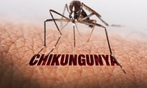 Trung Quốc phát hiện thêm các ca bệnh Chikungunya
