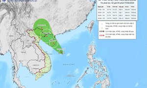 Biển Đông hứng áp thấp nhiệt đới, Bộ Nông nghiệp và Môi trường ra công điện ứng phó