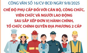 Quy định về chế độ phụ cấp đối với cán bộ, công chức, viên chức và người lao động sau sắp xếp
