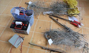 Tạm giữ hình sự hai đối tượng dùng điện bẫy chuột dẫn đến chết người