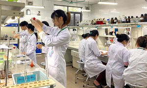 Bức tranh điểm chuẩn trường Y Dược năm 2025