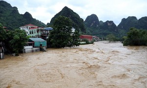 Bão số 5 sẽ di chuyển nhanh, hoàn lưu tác động rất rộng