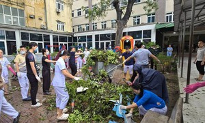 Nhân viên y tế khắc phục hậu quả bão số 5, đảm bảo khám chữa bệnh