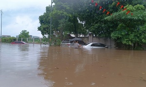 Mưa lũ tiếp nối dài ngày, triển khai công tác hộ đê đảm bảo an toàn cho Hà Nội