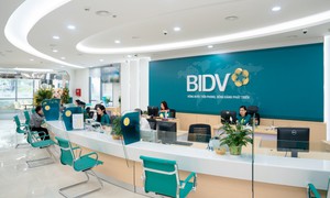 Yêu cầu BIDV Điện Biên báo cáo sau kết luận của Thanh tra Ngân hàng Nhà nước