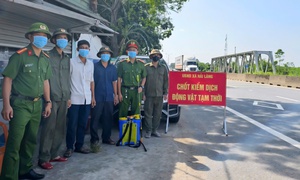 Dịch tả lợn châu Phi bùng phát, Quảng Trị siết chặt việc giết mổ, vận chuyển