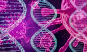 Phát hiện mới về virus bạch cầu và tiềm năng điều trị HIV