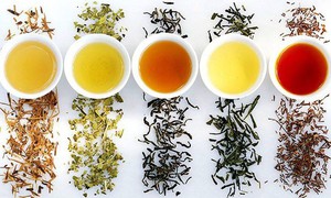 9 loại trà thuốc trị bệnh thường gặp
