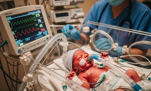 Báo động sốc nhiễm khuẩn ở trẻ