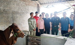 Hưng Yên: Đẩy mạnh giảm nghèo bền vững, lan tỏa an sinh đến từng hộ dân
