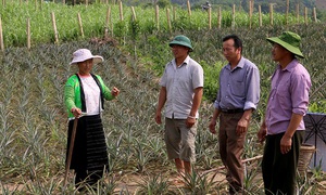 Điện Biên linh hoạt trong thực hiện chính sách để giảm nghèo bền vững, hạn chế tái nghèo