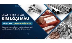 Doanh nghiệp chuyên sản xuất nhôm, chì thỏi vi phạm lĩnh vực chứng khoán