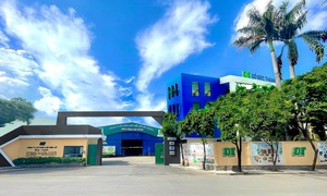 Gỗ Đức Thành bị phạt hơn 200 triệu đồng vì vi phạm chứng khoán