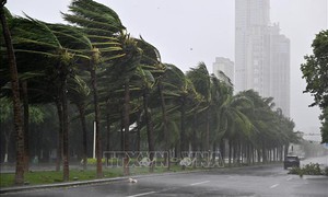 Nguy cơ Ragasa mạnh lên thành siêu bão khi áp sát Hong Kong (Trung Quốc)