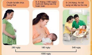 H&#224;nh tr&#236;nh ăn dặm của trẻ: Ch&#236;a kh&#243;a v&#224;ng cho 1.000 ng&#224;y đầu đời