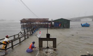 Bão số 9 suy yếu thành áp thấp nhiệt đới trên vùng biển Quảng Ninh