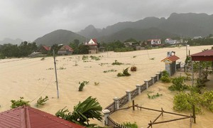 Khẩn trương đảm bảo an toàn đê điều, ứng phó với lũ lên nhanh trên các sông