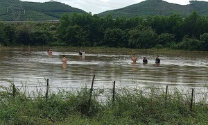 Tìm thấy thi thể người đàn ông mất tích khi đi thả lưới