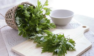 Ngải cứu – B&#237; quyết an thai hiệu quả m&#224; kh&#244;ng phải ai cũng biết