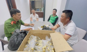 Lật tẩy chiêu trò nhóm đối tượng lừa đảo liên tỉnh từ nải chuối, nhánh cau bằng kim loại