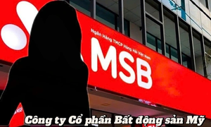 Bất động sản Mỹ nợ trên 20.300 tỷ đồng, gấp hơn 6 lần vốn chủ sở hữu