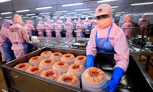  Sự kiện kinh tế Việt Nam nổi bật tuần qua