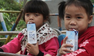 Hướng dẫn dinh dưỡng 2025–2030: Nên tiêu thụ sản phẩm từ sữa mỗi ngày để tăng cường sức khỏe