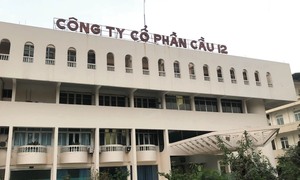 Công ty Cổ phần Cầu 12 không công bố báo cáo tài chính theo quy định