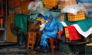 Dù rét buốt, mùa đông 2025–2026 vẫn ấm hơn trung bình nhiều năm