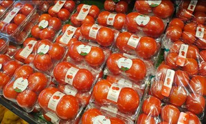 Nghiên cứu cảnh báo sản phẩm 'không chứa BPA' gây hại sức khoẻ sinh sản