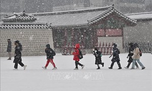 Hàn Quốc trải qua mùa Đông 'lạ'